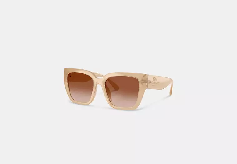 oversized cat eye sunglasses oversized cat eye sunglasses