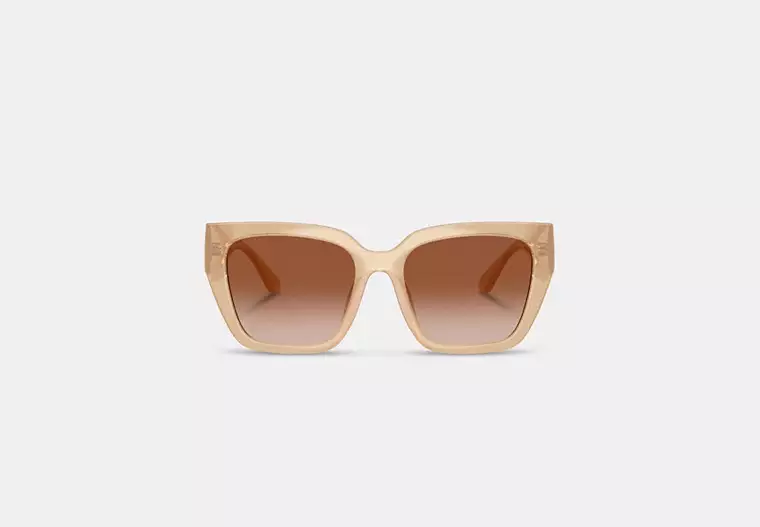 oversized cat eye sunglasses oversized cat eye sunglasses