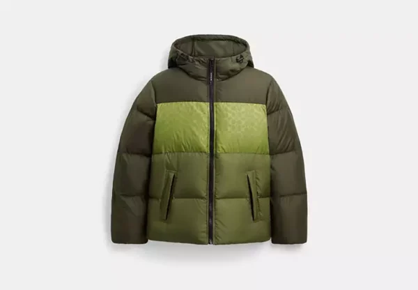 colorblock down jacket