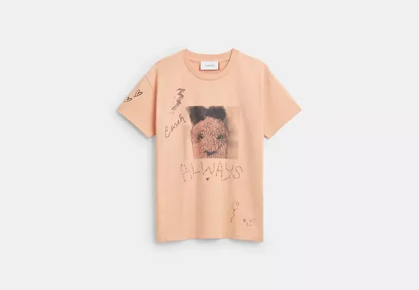 carroty shrunken t shirt in organic cotton