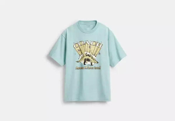 stegosaurus relaxed t shirt in organic cotton